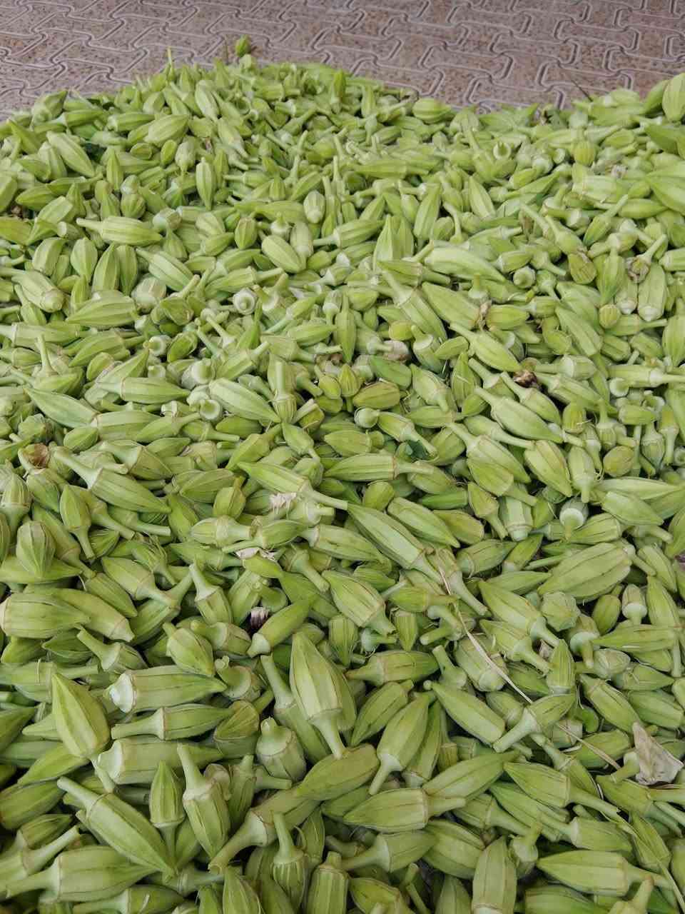 بامي بغدادي وبترء اليريد يتصل***********
