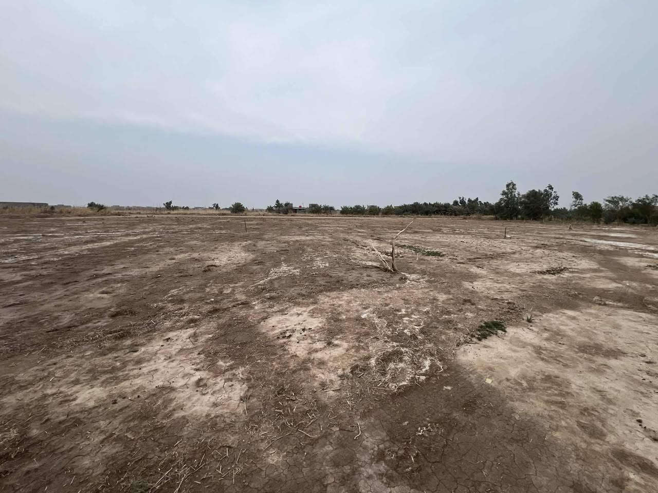 اربع قطع طابو زراعي سند ٢٥ مساحة القطعة الواحد ٣٠٠م ماء كهرباء وجه ع شارع ١٢م قيد الانشاء مصب وتبليط وشارع ١٢ متر مدفون سبيس نازل من الشارع العام لي رابط زبيدية نعمانية مقابل محطة ثعبان اسعار مناسبة 
للاستفسار ***********
*********** او مراجعة مكتب أمتار للعقار
