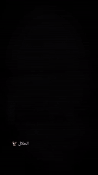 بستا • ١٩٩٥ • رقم ديالى