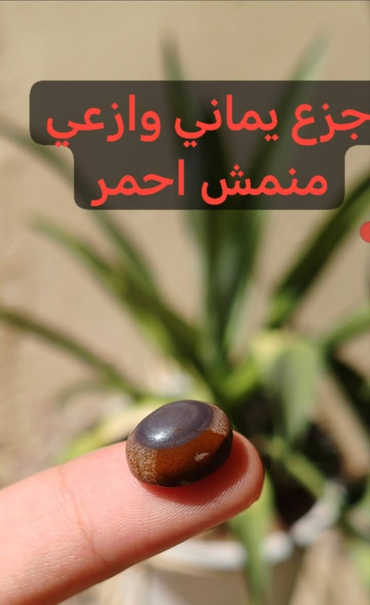 الجزع اليماني الاصلي الحر (على ضمان الفحص المختبري ✅ 💯)

بدون تجمير ❌بدون معالجة❌وبدون لزگ❌
فقط الأصلي من الجبل للچراخة✅


**إذا كنت صاحب هذا الإعلان وتريد حذفه لأي سبب، رجاءا أرسل رسالة إلى الدعم الفني**