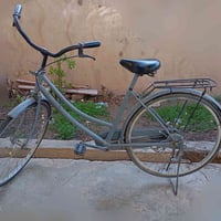 بايسكل • حجم ٢٦ • الحقلانية