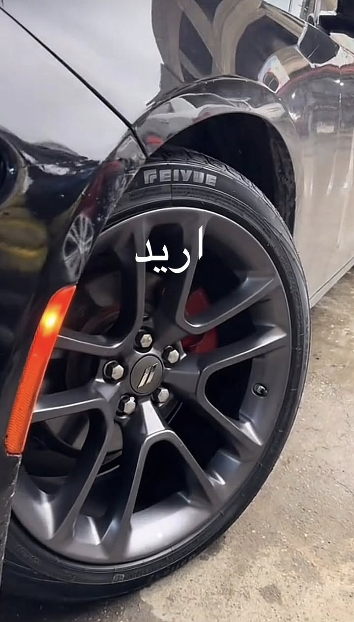 السلام عليكم
عندي ويل srt لا فطر لا عواج لا لحيم اريد اراوس بويل سكات 
مكاني بغداد


**إذا كنت صاحب هذا الإعلان وتريد حذفه لأي سبب، رجاءا أرسل رسالة إلى الدعم الفني**