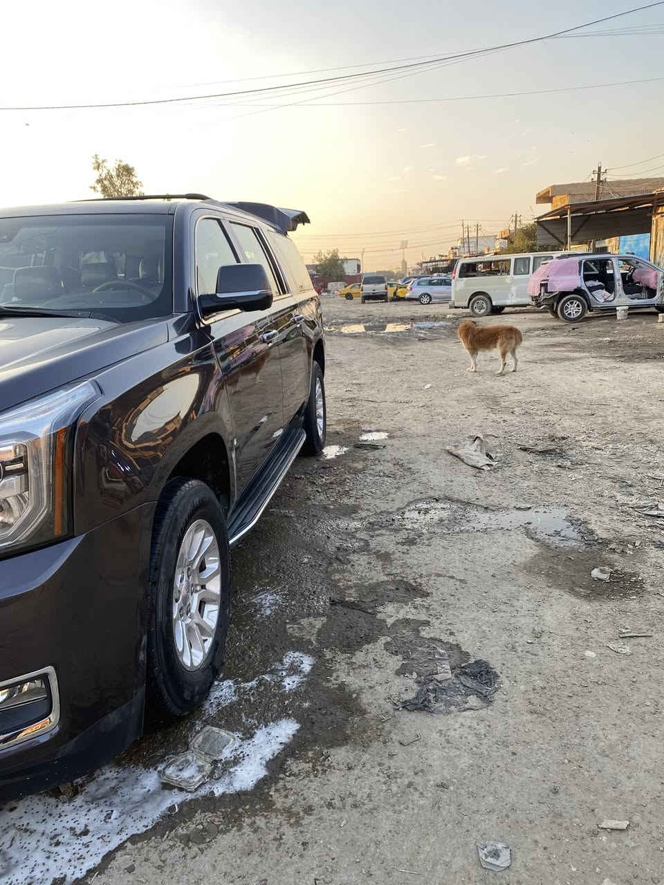 السلام عليكم اخوان من رخصه الادمن جمسي ٢٠١٦ خليجي بدون حادث بدون ايرباك السياره نضافه خير من الله جاهزه لشغل صبغ حزام لغرض درجه اوله تجميل لغرض الجرد محرك اكسل حداديه لاستيك قماره بجم كبس دعاميات منضومه تبريد مع الراديترات دوشمه عامه كله جديد السياره خليجي ومعروب موصفات الخليجي رجا الماشتري ليتصل رقم السياره شمالي سلمانيه منضومه سيرفز كله جديد بلك واير بلك نوزلات السياره خير من الله مخدومه خدمه درجه اوله السعر ٢٧٠
للستفسار ***********
