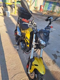 بنلي ١٣٥ • مرقمة • الكاظمية