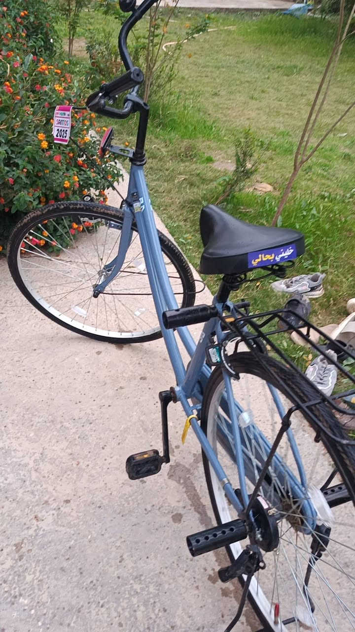 باسكل ٢٦ للبيع غراضه كامله مكان بابل يم جامعه مستقبل السعر ١٤٠ وبي مجال حك الجيه


**إذا كنت صاحب هذا الإعلان وتريد حذفه لأي سبب، رجاءا أرسل رسالة إلى الدعم الفني**