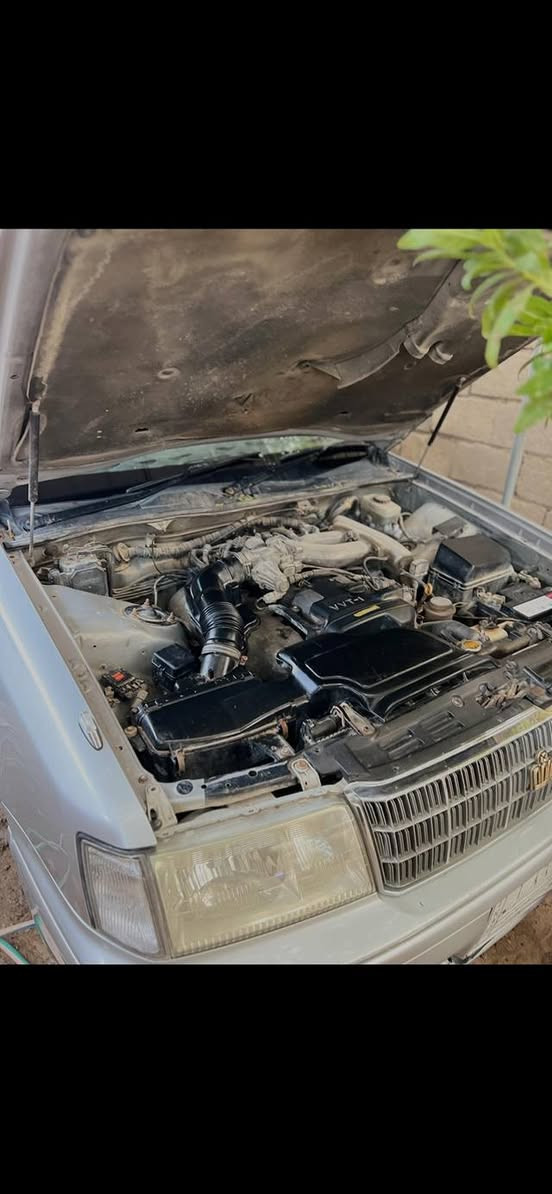 سلام عليكم  راس ثور فلات كفاله  من النقل والكص والصبغ بيها جراد بل قماره قليل سنويه منتهيه للتواصل ***********
