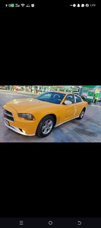 ٢٠١٣ • وارد كندي • ابيض اصل