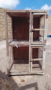 خانة ام ثنين • خاص • كوت رد