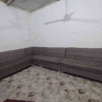 تخم • ٥قطع • حيانيه