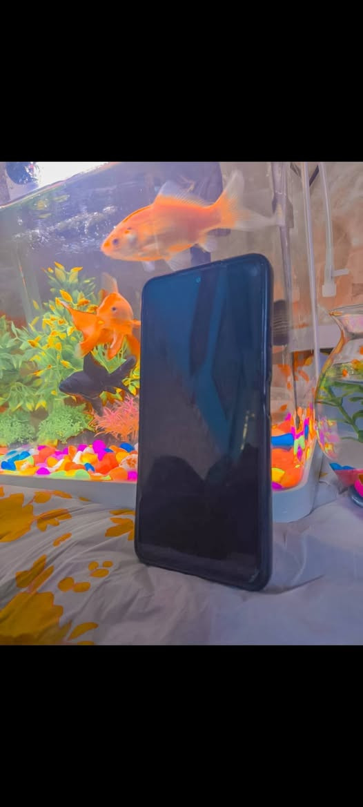 بوكو F3 ذاكره 256 وحساب ببجي موضح كبالك سعر 300 قفل مكان بغداد بلديات


**إذا كنت صاحب هذا الإعلان وتريد حذفه لأي سبب، رجاءا أرسل رسالة إلى الدعم الفني**