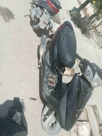 ببغاء • عوزها نظافة • فيها مجال