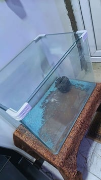 حوض أسماك • فلتر • هيتر