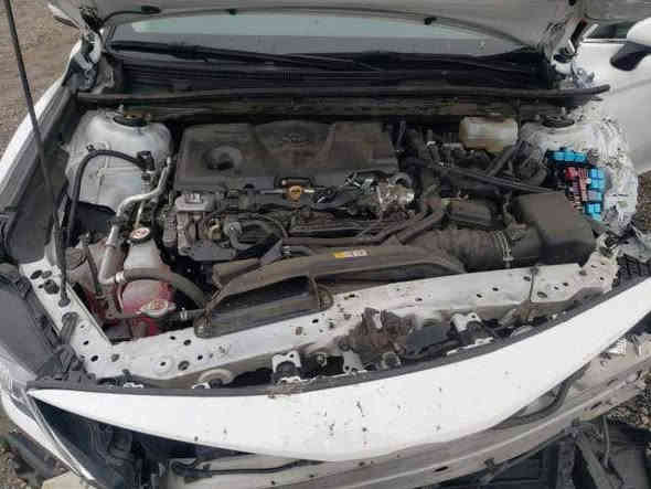 السلام عليكم اخوان
للبيع موديل 2022 امريكية هايبرد بانزين فئة le واني مبدل دعاميه مال se للجماليه حادثهه بلمنشور واني ماعرف اذا بيهه لغد او شاصي تجي تشوف بعينك بس للامانه حتى الراديتر نفسهه ولاوصلتلهه يعني مو بجم الضربه 
هنا بلعراق صارت عندي طخه بلجاملغ الخلفي صار بي صبغ شويه  يعني مو كله نصبغ وهاي كدامك بيهه كم رصعه مال تحميل من اجتي من العام مسويتهن عفتهن تايرات وويل 18 شديتلهن
حساسات 
رادار 
ترقف ذاتي 
تحديد مسار 
3 انضمه قياده سبورت وايكو ونورمل
كشن السائق كهرباء 
شاشه بدلتلهه مال راف فور تدعم كاربلي
شادلهه واقيات مري ويدات وشمسيات وسكوبات ب200 الف الله شاهد 
رقمهه بغداد بااسمي 
السياره من جبتهه من امريكا ماشيه 90 تقريبا واني هنا صارت عندي 136 ميل السياره امانه نضيفه وبعدهه بحيلهه تجي وتشوف بعينك واحلى من الصور 
مكاني بغداد الغزاليه ***********
