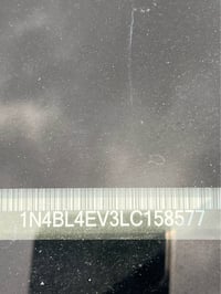 التيما سل • فول • أربيل