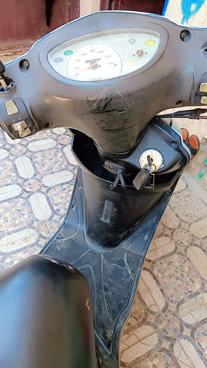 بريز ببغاء للبيع 🚩
الأمين الثانيه بغداد
***********
ترهم امراوس

