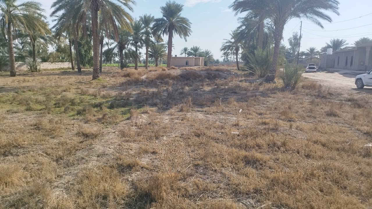 ارض 3 دونم طابو صرف في قريه العناز.. شارع العام ع بعد 200متر... جامع ومستوصف بيطري ع غرب 50 متر... داخل الارض اساس بيت مساحه 300متر... 0783 553 4922
