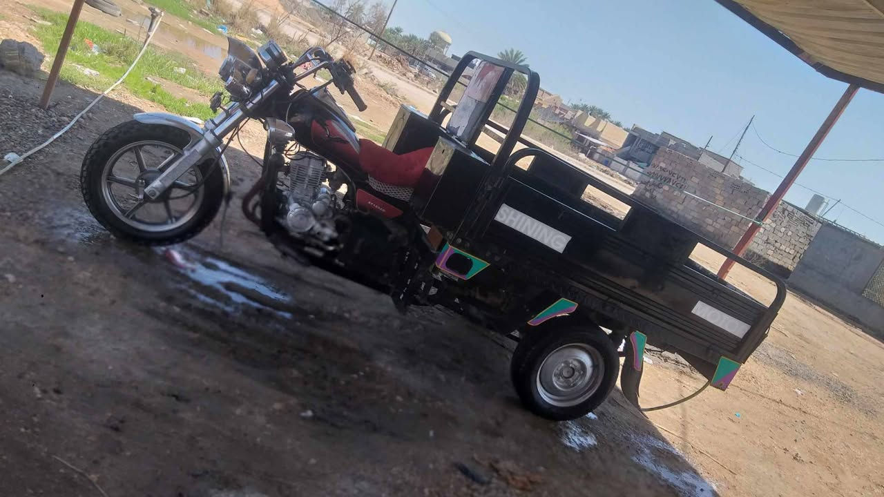 *********** شباب ستوته للبيع 2022 كفاله عامه
