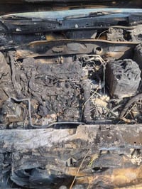 بيجو ايراني • صفره • ورقه باسمي