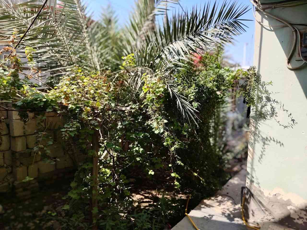 سلام عليكم
دار سكني للبيع 
المساحه ٣٠٠م
بيت ركن
طابقين
بناء طابوق وكونكريت 
الطابق الاول  يحتوي علئ غرفتين نوم وصاله ومطبخ وبراني وحمام داخلي
الطابق الثاني يحتوي علئ ٣ غرف واحده منها نضام سويت
الموقع الديوانيه حي الجزائر 
للاستفسار  اتصال ع الرقم
***********
