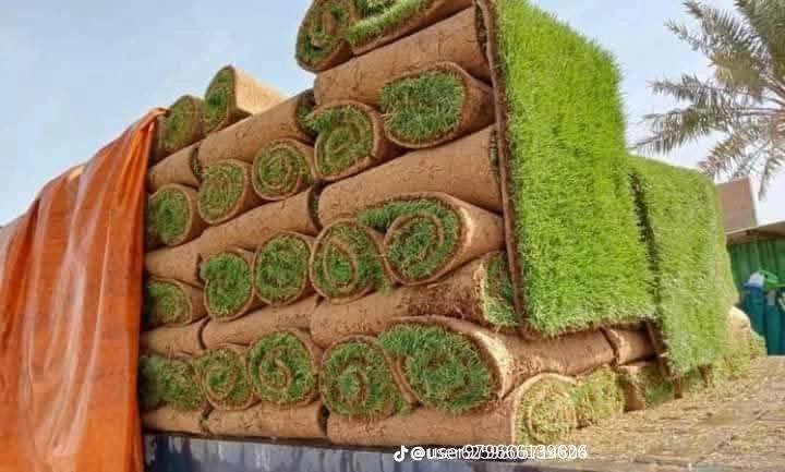 ثيل ديالى الطبيعي وخضار ولا اروع 💚
نتوفر كافة انواع الثيل الطبيعي 
مستعدون لتجهيز كافة الدوائر الحكومية والمتنزهات والحدائق العامة والمنازل .
نوعية ممتازة ودرجه اولى ⁦1️⃣⁩
ودائم الخضره 

ثيل #هندي  #امريكي   #ايطالي الخ ...

اسعارنا الانسب وتوصيلنا الاسرع  لكافة محافظات العراق
لمعرفة المزيد راسل الصفحه اوالاتصال على الارقام  ***********/***********
