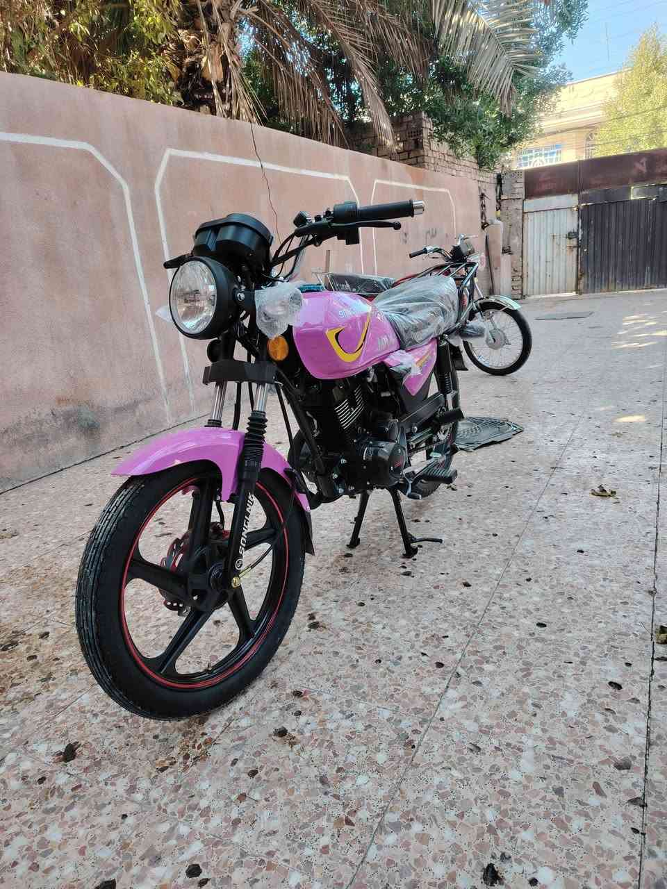 لاستفسار أكثر بغداد الشعب قرب مدرسه عبد المحسن الكاظمي *********** لبيع بنقد وتقصيد
