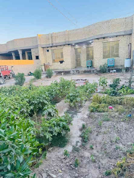 (السعر 75مليون او بي مجال 🤑🤑)

السلام عليكم بيت مساحه 600متر مساحت البيت 300متر أو حديقه 🌳🌳300 يحتوي عله ثنين حدائق 

البيت بناء درجة أوله 

بناء البيت 3غرف نوم أو صاله أو ستقبال أو مطبخ أ صحيات

منطقه كله ساكنه بيه ناس 

البيت طابو زرعي 25 📋أو قرار محكمة بسم المشتري📝

المكان النجف شارع كربلاء عمود 155طريق يا علي يبعد عن طريق الزوار 300متر 🛣️🛣️تبليط لباب كهرباء وطني أو مولد ذهبي ماي 💦💦مدارس قريبه📋📝

رقم الهاتف***********واتساب
