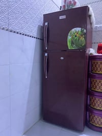 ثلاجة ومجمدة • نضيفات • سوق الشيوخ