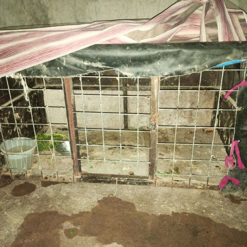 السلام عليكم قفص للبيع حديده درجه اولى  الشراي خاص


**إذا كنت صاحب هذا الإعلان وتريد حذفه لأي سبب، رجاءا أرسل رسالة إلى الدعم الفني**