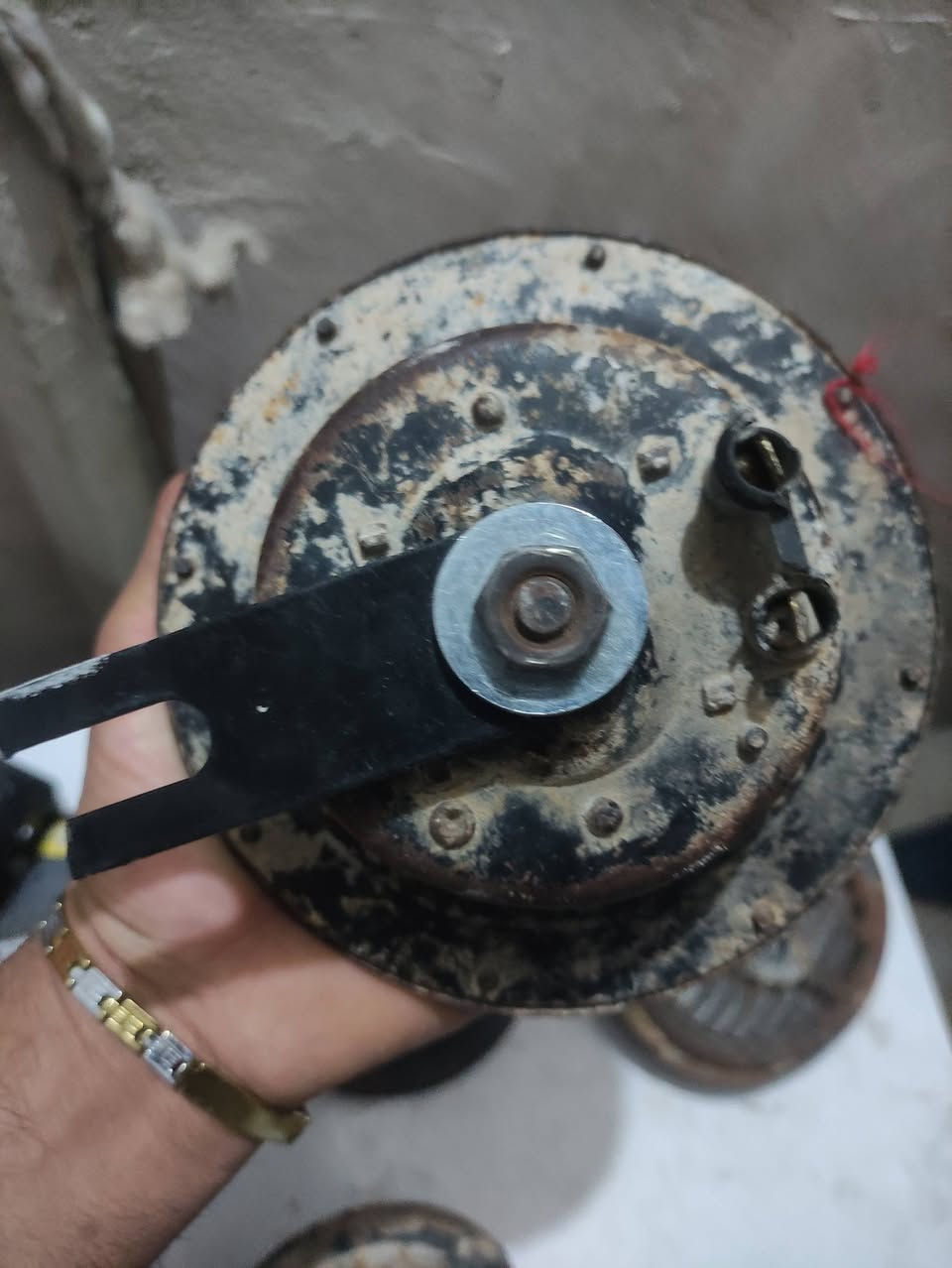 ايشي عندك للمراوس دز


**إذا كنت صاحب هذا الإعلان وتريد حذفه لأي سبب، رجاءا أرسل رسالة إلى الدعم الفني**