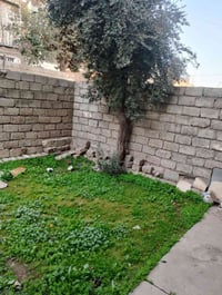 شقق الخظراء • ٢٠٠م • غرفتين