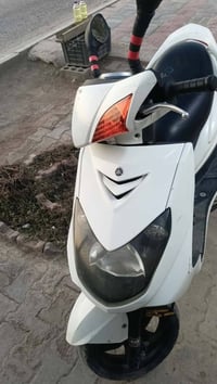 سكنس فحل • ياباني • نوزل