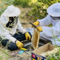عسل طبيعي • بلا إضافات • توصيل كردستان