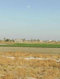 ٤دونم • ذراع دجلة • ملك صرف