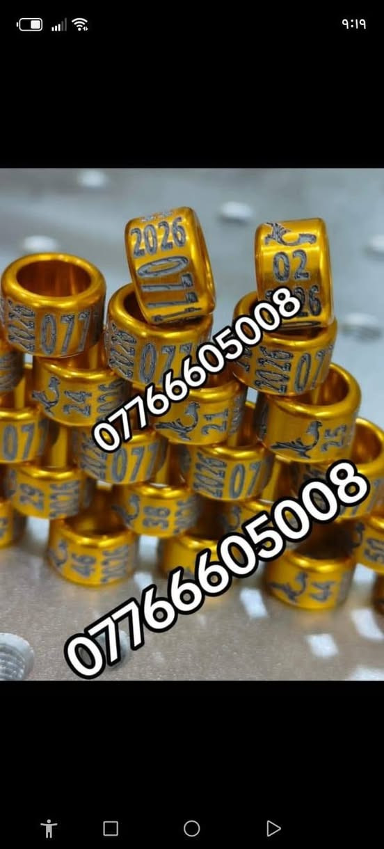 حجل طيرك وبسعار تنافسيه وشغل مضمون 👇❤️ حجول  وتوصيل لكل العراق والخبره بلعمل
من رخصت لمشرفين تريد حجل اصلي  ❤️ يوجد لدينا كل ماهو جديد عمل جميع  انواع حجول رابطه ستندر بنواعها حمام اللوت والزاجل والرافل والحمر وتور تيدي وطيور الزينه وباقي الطيور  بكافة انواعها  المغرد جاوه وبلابل  وفجانس وكناري وبادجي هاجرمو  وكوكتيل والدره وغندور وروز والحمام الملكي  ودجاج ومختلف النوعيات الالوان والموديلات حسب طلب الزبون الحجول والقياسيات موجوده بنواعها وتلبيس لطيور الكبار موجود حسب الطلب
الموثق والمفتوح وقراصات و المنيوم مفتوح الشغل درجة أولى حفر ليزر وحجول  والطيور بانواعها ملاحظه يوجد لدينا حجول زينه تراجي وحجل جرس خرخاشه واشرات وباقي الحجول بنواعها لكافه لطيور توجد خدمه توصيل لباب لبيت لجميع المحافظات العراق 🚕🚕 بسعر مناسب جدا للحجز مراسلة الصفحه او واتساب📱📞او الاتصال علئ الرقم او وتساب ملاحظه خبره بلعمل أكثر من 10 سنوات احذر التقليد 😍 لاتنسه لايك ومتابعه للحساب هدفنا تطوير الهوايه ولطيور لتعارف 😘 

***********
***********
