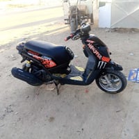 سكنس جبلي • مستعجل • مجال قليل