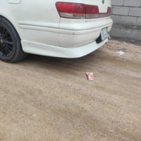 خلفية وجانبية • كرستا مارك شيزر • مصبوغات ومعجانات