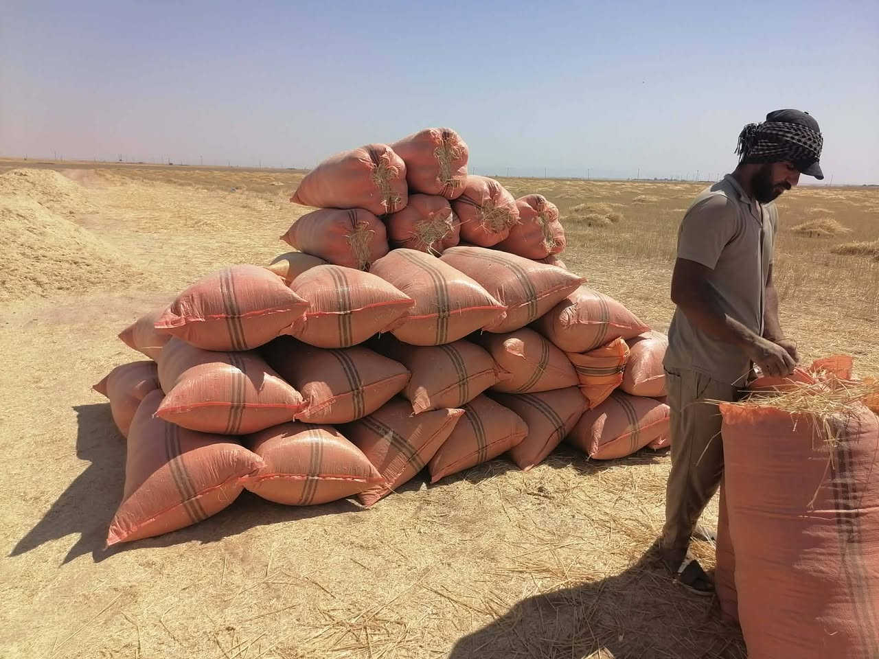 السلام عليكم يوجد تبن للبيع شلفان السعر ٣٠٠٠ الشليف واصل البيت ومال الحنطه مال السنه شرط نضيف القياس الشليف عرض ابو ٧٠ ارتفاع ١١٠ ويوجد خدمة توصيل والاستفسار ***********
