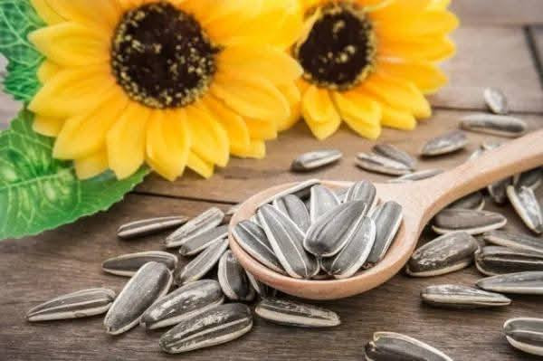🥜✨ ألذّ أنواع الكرزات والحلويات العراقية الأصيلة ✨🥜
منتجات مختارة بعناية... جودة عالية وطعم يفوز 🌾🍬

🌰 كرزات مشكل اكسترا أولى — 16 ألف
🥜 كازو — 16 ألف
🌽 ذرة محمصة — 5 آلاف
🥜 فستق عبيد — 5 آلاف
🥥 لب جوز — 14 ألف
🍇 زبيب — 8 آلاف
🥜 حمص — 5 آلاف
🌻 حب مصري — 10 آلاف
🍑 تكي مجفف — 8 آلاف
🌻 حب شمسي — 5 آلاف
🍇 كشمش أولى — 6 آلاف
🌰 لوز حلو — 14 ألف

✅ جودة عالية وأسعار مناسبة
✅ مذاق مميز يرضي جميع الأذواق
✅ دعم للمنتج الوطني

🚚 توصيل متاح إلى جميع محافظات العراق
📞 للطلب والاستفسار:
📱 ***********

#طعم_من_ديرتنا
#دبس_وراشي_هيت
#سمسم_عراقي
#تراثنا_أصيل
