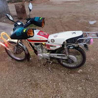 موديل 24 • بدون أوراق • كبيسي