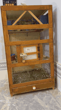 اعاده النشرر ادمن وافق 
طيور حب زوجين هاجرموو 
عل وجه مبياض للبيع هنه والقفص لعدم تفرغ سعر 70كلهن هاذ رقمي ***********مكاني طريق المجر
خاص متوفر
