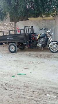 ستوته • موديل 19 • حله