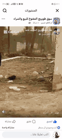 طوريج الرشيدة • ٢٠٠م • سند ٢٥