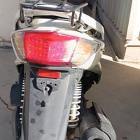 سكنس فحل • نوزل • دبلات رياضي