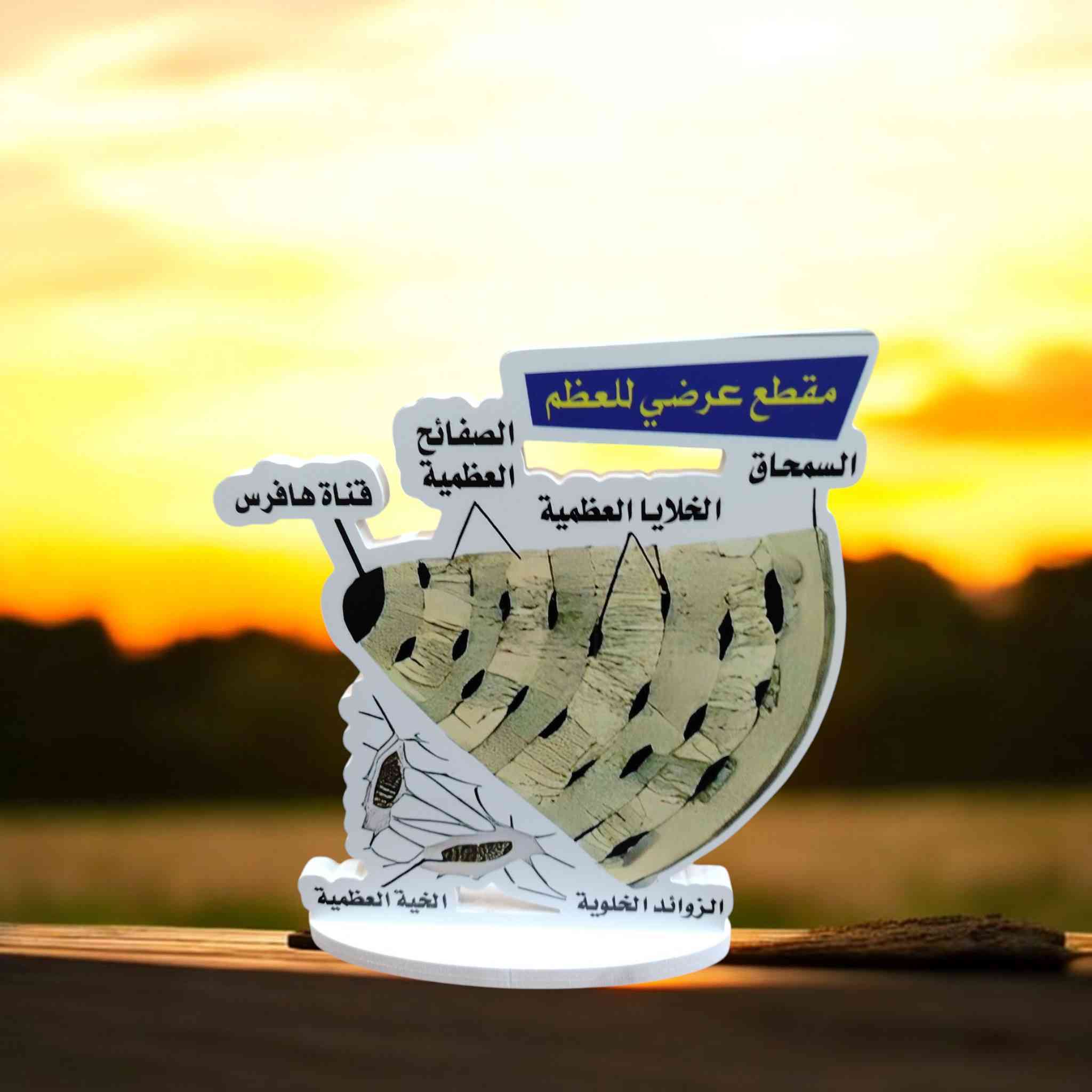 أعمال فوم
لجميع المواد ( أحياء +كيمياء +فيزياء)
متوفره بسعر 5000دينار


**إذا كنت صاحب هذا الإعلان وتريد حذفه لأي سبب، رجاءا أرسل رسالة إلى الدعم الفني**