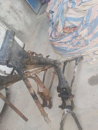 شاصي • بدون صبغ • البصرة خور زبير