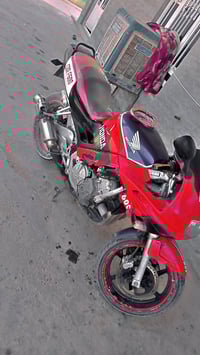 مطلوب • دراجه • الفلوجه