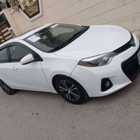 كورلا • ٢٠١٦ • رقم اربيل