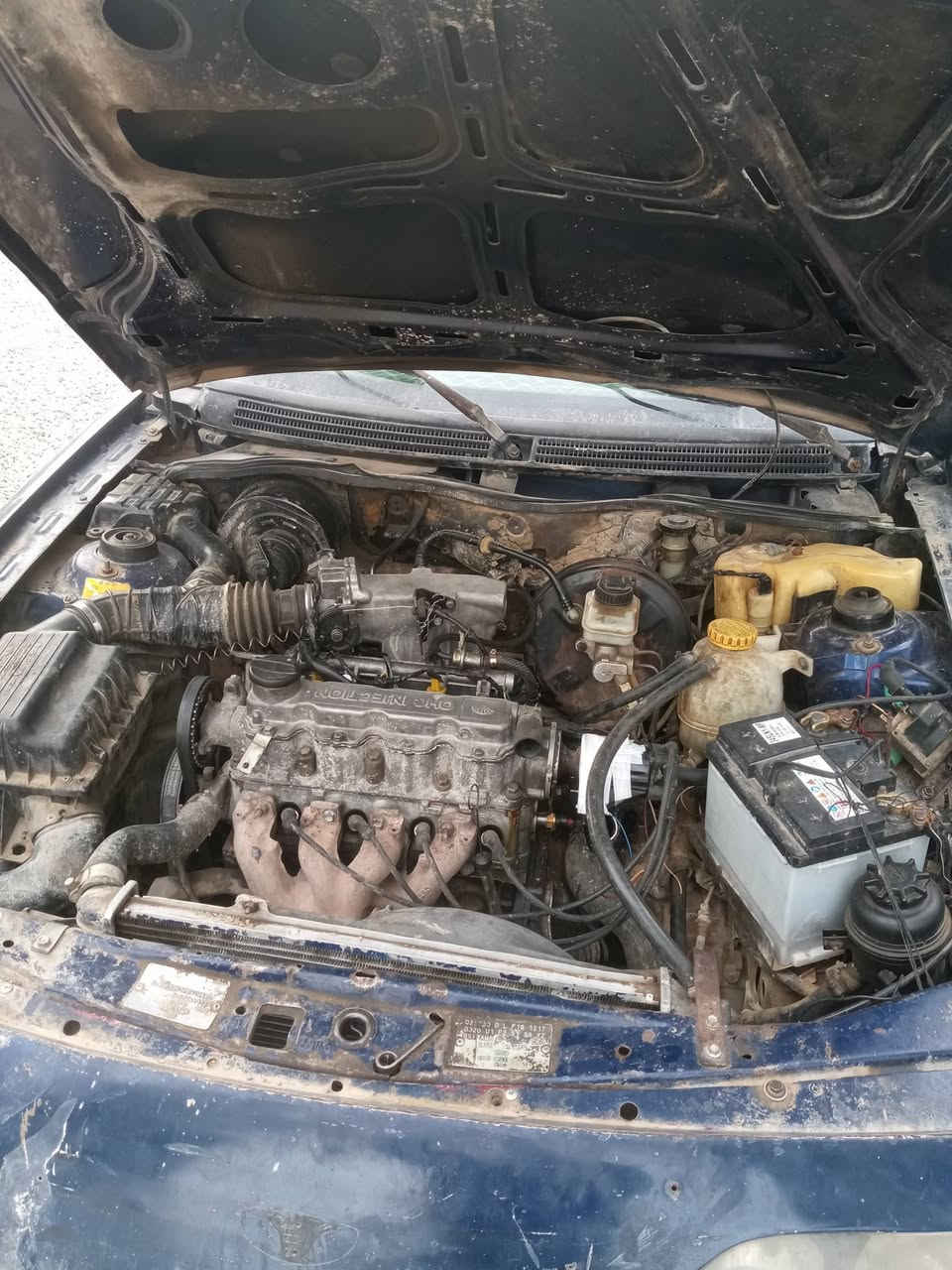 بشرتی گیڕو مە کینو لیتیزینۆنو گرمو جام کارە بایو تایە و ویلوهموگیانی ایشە کات سعری13 ورە قە مشتە ریت بیرە جات


**إذا كنت صاحب هذا الإعلان وتريد حذفه لأي سبب، رجاءا أرسل رسالة إلى الدعم الفني**