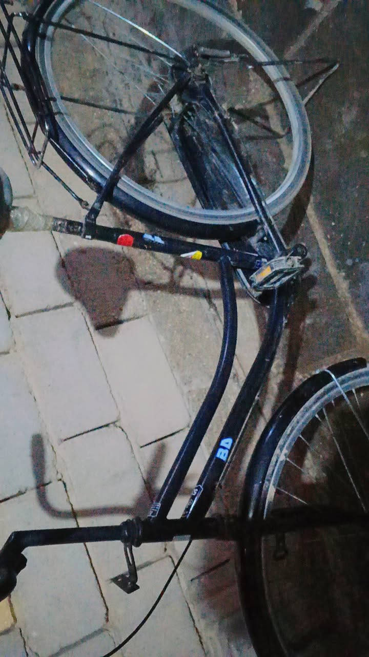 سلام عليكم  باسكل للبيع سعر 55 مكان شطره رقم *********** واتساب بخدمت الشراي
