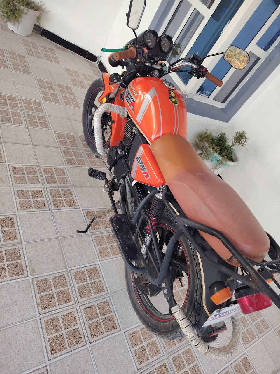 دايون 2023 اوراق اصولي شرط كفاله عامه مكاني بابل سعر واحد ونص ***********
